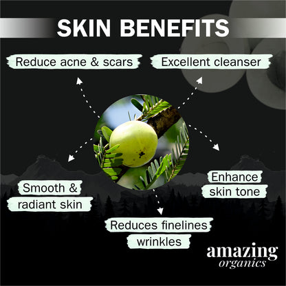 Organic Amla Powder for Skin