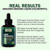 Liquid Chlorophyll Drops - Organic Chlorophyll