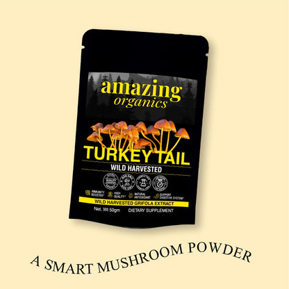 Turkey Tail Mushroom Powder