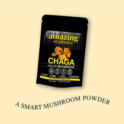 Chaga Mushroom Powder