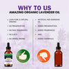 Lavender Essential Oil for Aroma Therapy, Stress Relief, Hair, Skin & Sleep - amazing organics