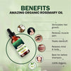 Rosemary Oil - Pure & Natural for Hair Growth - amazing organics