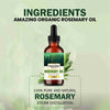 Rosemary Oil - Pure & Natural for Hair Growth - amazing organics